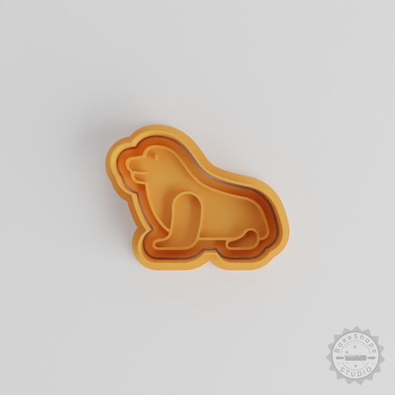 Seal Cookie Fondant Cutter Stamp Set, 6 Piece Sealife Shaped Cutters, Small Medium Large Sizes