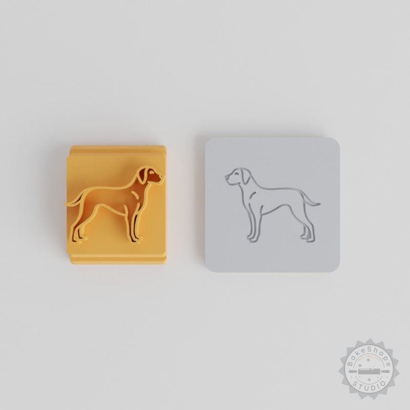 Rhodesian Ridgeback Dog Stamp Tile Set for Clay and Cookies, 5 Sizes